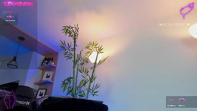 Snapshot of JessicaPratt chatting on February 2025 11:48:01 PM JessicaPratt online show from February 2025 11:48:01 PM