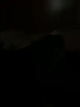 PassionCoupleLove online show from October 2025 01:06:02 PM