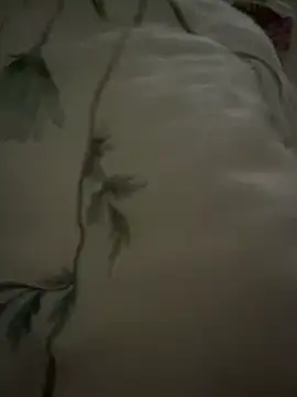 Snapshot of Jackoff2345 chatting on November 2025 05:56:02 PM Jackoff2345 online show from November 2025 05:56:02 PM