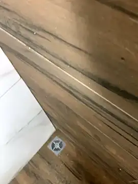 bfelipedasilva online show from October 2025 03:25:01 AM