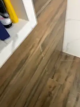 bfelipedasilva online show from December 2025 11:50:01 AM