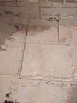 Snapshot of Andres__00 chatting on March 2026 01:54:02 PM Andres 00 online show from March 2026 01:54:02 PM