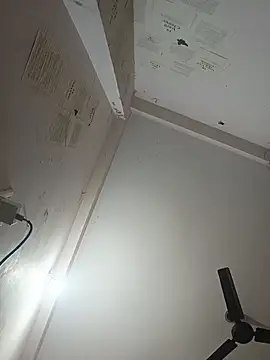 Snapshot of indoregigolo chatting on October 2025 03:03:02 PM indoregigolo online show from October 2025 03:03:02 PM