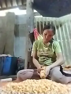 bong-ngo online show from July 2026 01:30:02 AM