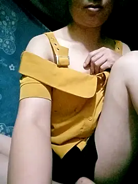 Snapshot of Noelle-e chatting on November 2025 11:47:01 PM Noelle-e online show from November 2025 11:47:01 PM