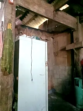 Noelle-e online show from March 2026 05:13:01 AM