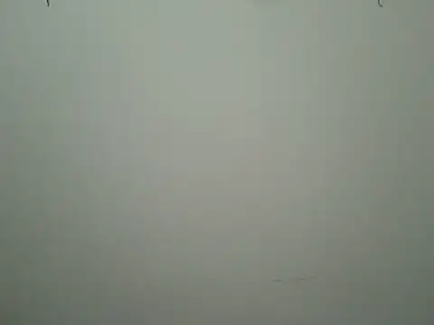 beadfeizi online show from October 2025 04:08:02 PM