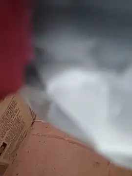 Snapshot of CUTE-GIRL-1 chatting on December 2025 04:29:02 AM CUTE-GIRL-1 online show from December 2025 04:29:02 AM