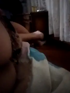 Snapshot of pampa4456 chatting on December 2025 05:23:01 AM pampa4456 online show from December 2025 05:23:01 AM