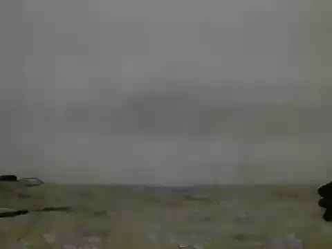 alexwhitestraight7 online show from May 2026 03:41:02 PM