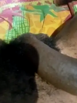 Snapshot of liketosex4 chatting on February 2026 12:45:02 PM liketosex4 online show from February 2026 12:45:02 PM