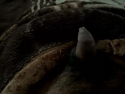 Snapshot of Riu92 chatting on January 2026 09:33:01 AM Riu92 online show from January 2026 09:33:01 AM