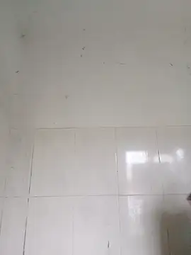 bella-la online show from February 2026 01:00:02 AM