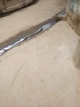 Snapshot of Pandey0012 chatting on October 2025 02:26:01 AM Pandey0012 online show from October 2025 02:26:01 AM