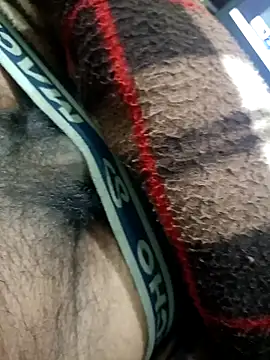 Snapshot of Pandey0012 chatting on February 2026 04:25:01 PM Pandey0012 online show from February 2026 04:25:01 PM