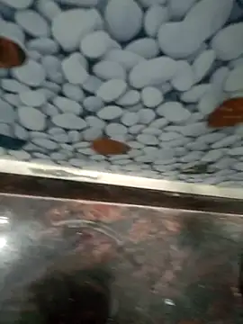 Snapshot of Pandey0012 chatting on March 2026 11:49:02 AM Pandey0012 online show from March 2026 11:49:02 AM