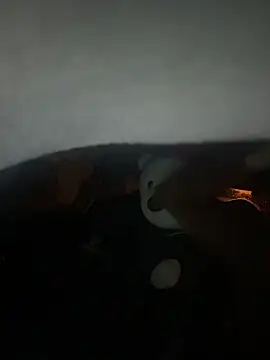 Snapshot of llioo22 chatting on February 2026 11:55:02 PM llioo22 online show from February 2026 11:55:02 PM