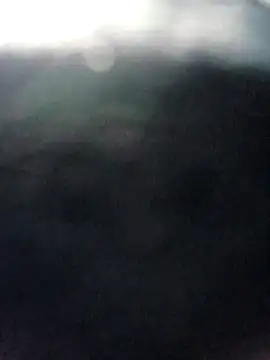 pino870 online show from March 2026 02:34:01 PM