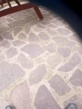 pino870 online show from March 2026 01:55:02 PM