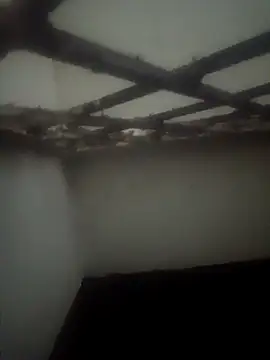 Pallu Asha online show from March 2026 03:51:02 PM