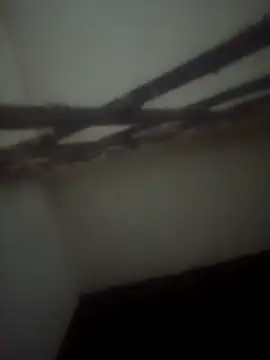 Pallu Asha online show from April 2026 03:50:02 PM