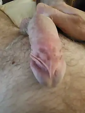cum daily1 online show from May 2026 05:49:01 AM