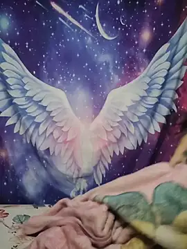 CurvyNoir online show from April 2026 12:43:02 AM