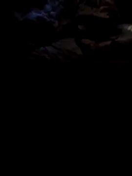 1990Mido online show from April 2026 05:57:02 AM