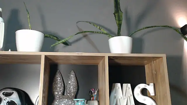 Snapshot of mickystrumia23 chatting on January 2026 12:03:02 AM mickystrumia23 online show from January 2026 12:03:02 AM