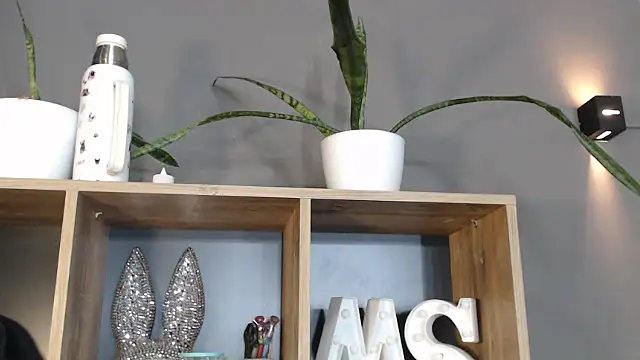 Snapshot of mickystrumia23 chatting on January 2026 06:44:01 PM mickystrumia23 online show from January 2026 06:44:01 PM