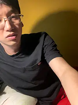 Snapshot of NerdyAsian1701 chatting on November 2025 04:23:02 AM NerdyAsian1701 online show from November 2025 04:23:02 AM