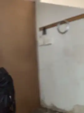 Ndodemnyamaxh online show from December 2025 06:04:01 PM