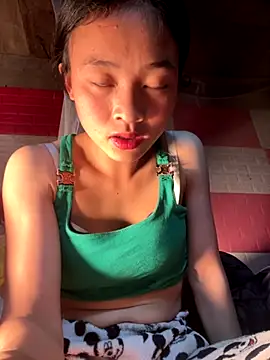 Snapshot of Li_ve chatting on December 2025 01:20:01 PM Li ve online show from December 2025 01:20:01 PM