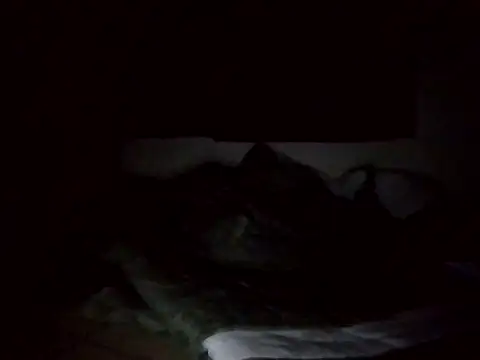 1qaz555 online show from November 2025 11:10:01 AM