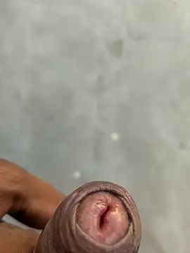 Anujes online show from March 2026 11:06:01 AM