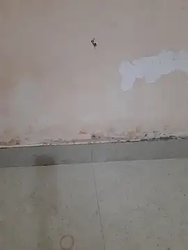 Madhubala singh online show from March 2026 02:37:01 AM