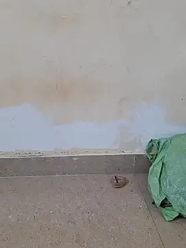 Madhubala singh online show from April 2026 02:38:01 AM