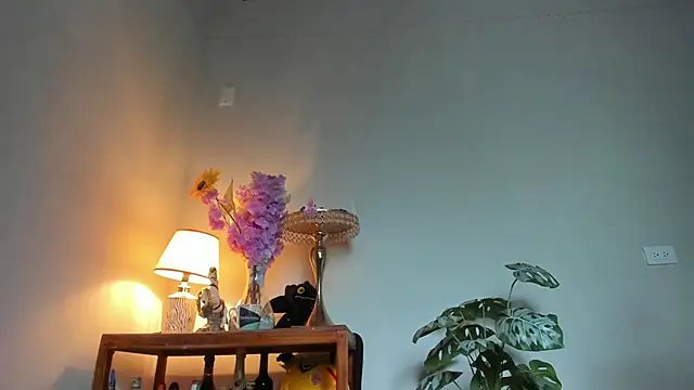 lucian davii online show from May 2026 12:34:02 PM