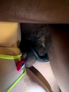 Snapshot of secretknight_Mrmask chatting on November 2025 07:18:02 AM secretknight Mrmask online show from November 2025 07:18:02 AM