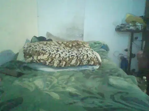 GuilleHotsexy online show from November 2025 01:00:01 PM