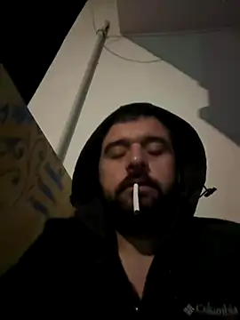 NiktirGit31 online show from November 2025 07:56:02 PM