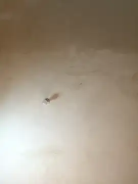 Snapshot of NiaLong21_ chatting on January 2026 09:58:01 AM NiaLong21 online show from January 2026 09:58:01 AM