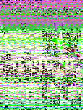 Snapshot of leenaboy@xh chatting on November 2025 04:31:02 PM leenaboyxh online show from November 2025 04:31:02 PM