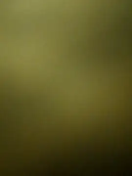 crazy boy55 online show from December 2025 05:28:02 PM