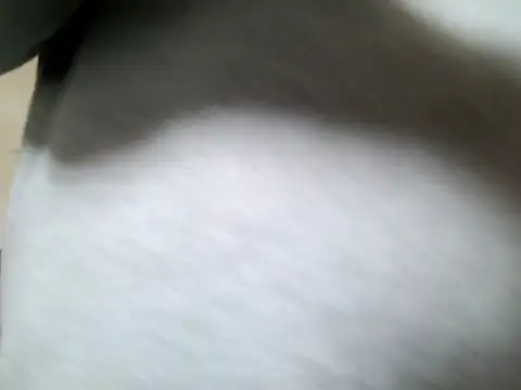 Olifesse online show from May 2026 08:22:02 AM