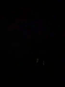 Snapshot of Santos229 chatting on February 2026 03:49:02 AM Santos229 online show from February 2026 03:49:02 AM