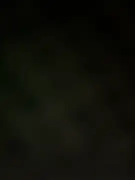 trickydickydaddy online show from March 2026 07:59:02 AM