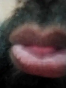 Snapshot of hyderabad_single chatting on November 2025 12:38:01 PM hyderabad single online show from November 2025 12:38:01 PM