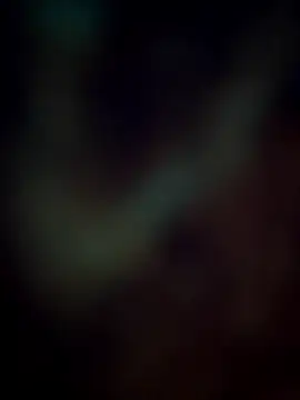 Pagalladka-89 online show from December 2025 10:33:01 AM