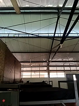 Snapshot of MonasticCanine chatting on November 2025 11:33:02 AM MonasticCanine online show from November 2025 11:33:02 AM